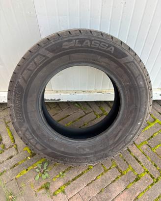 Gomme estive