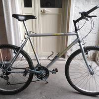 mtb atala 