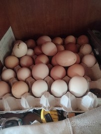 Uova da consumo e da cova