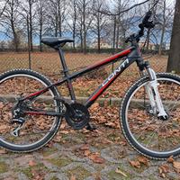 bicicletta moutain bike bambino