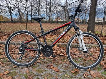 bicicletta moutain bike bambino