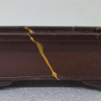 vaso bonsai Tokoname SHIBAKATSU