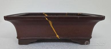 vaso bonsai Tokoname SHIBAKATSU