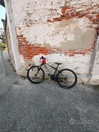 Bici rokrider