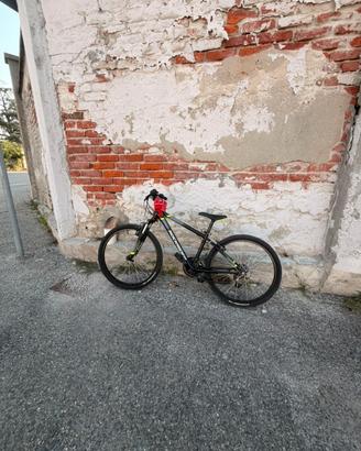 Bici rokrider