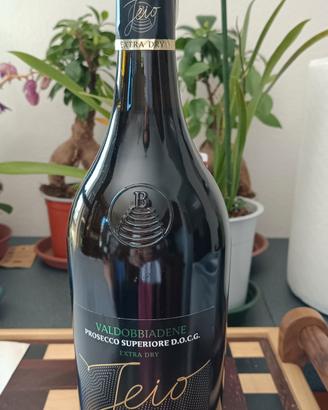 Valdobbiadene prosecco superiore Jejo Bisol