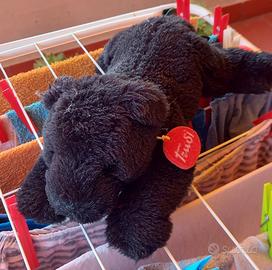 Peluche Pantera Trudi 
