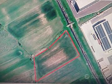 terreno agricolo 