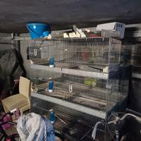 Gabbie da Cova 120x50 con accessori