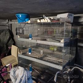 Gabbie da Cova 120x50 con accessori