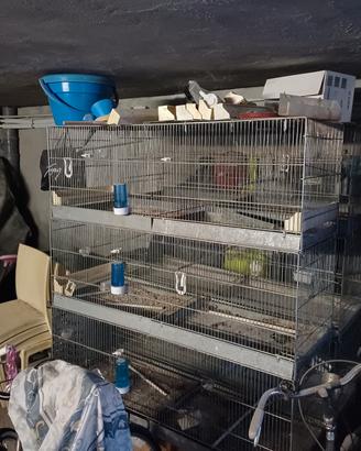 Gabbie da Cova 120x50 con accessori