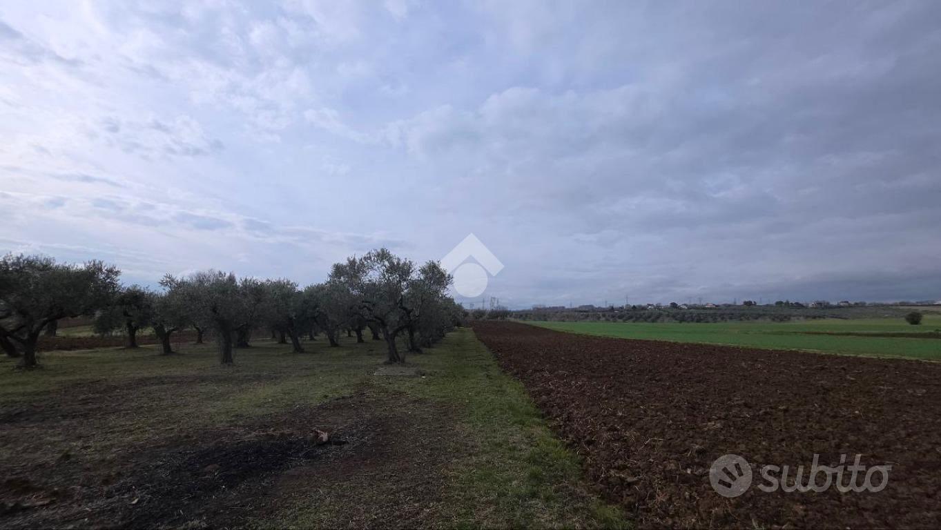 TERRENO A SPOLTORE - Altro
