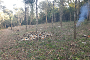 Sardegna Gallura Tempio Pausania