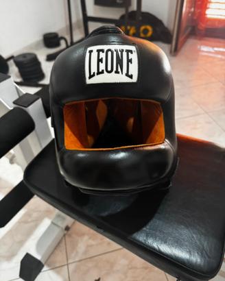 Caschetto leone paranaso