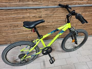 Mtb 20