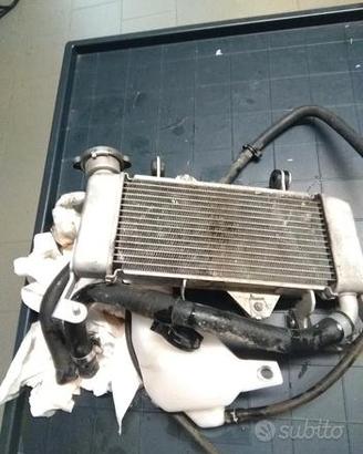 Radiatore completo yamaha mt 125 2020 in poi
