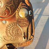 Sella americana billy cook pro reiner