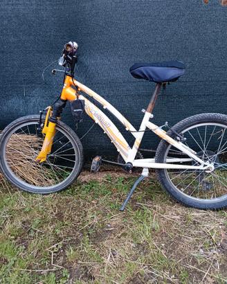 Bici bambino