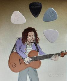 4 plettri per chitarra acustica