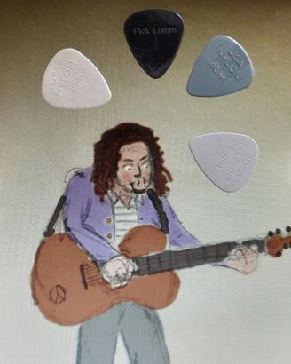 4 plettri per chitarra acustica