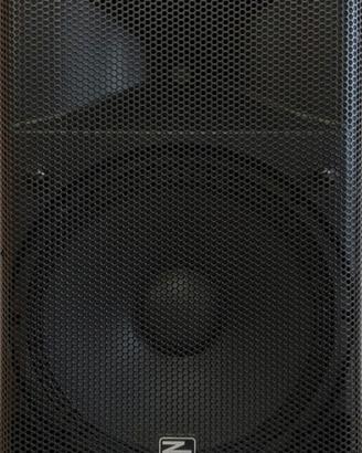 Cassa bluetooth karaoke 