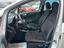 Immagine 11