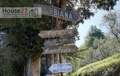 RUSTICO RISTRUTTURATO CON TERRENO A VICCCHIO - FIR