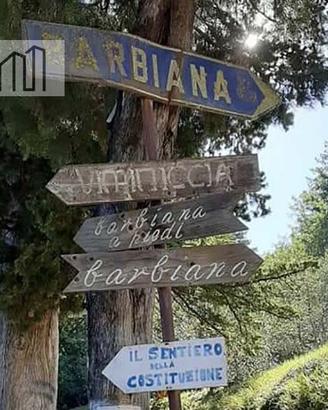 RUSTICO RISTRUTTURATO CON TERRENO A VICCCHIO - FIR