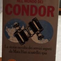 Nel mondo dei condor