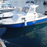 Vendo barca pilotina 6 metri motore 4 t