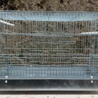 Gabbia per cova da cm 60