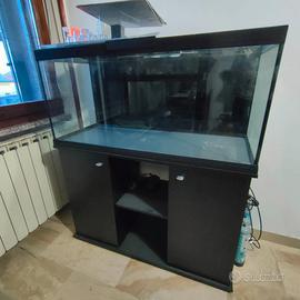 acquario Cayman Professionale 230 litri