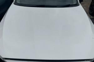 Cofano Originale Bmw Serie F20 F21 F22 F23 2011-19