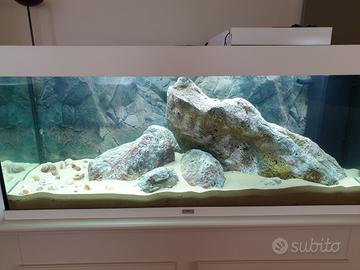 Acquario Juwel Rio 240
