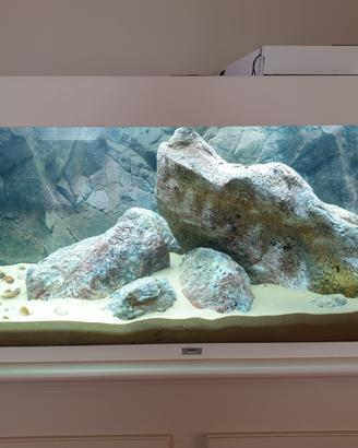 Acquario Juwel Rio 240