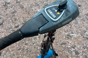 Motore elett Yamaha / Minn Kota Traxxis 55 lbs 12V