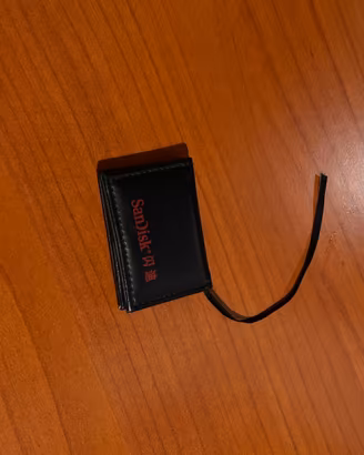 Custodia SanDisk per schede SD / memory card