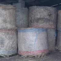 Fieno primo taglio