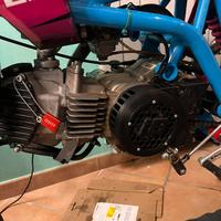 Motore pit bike yx160 braam