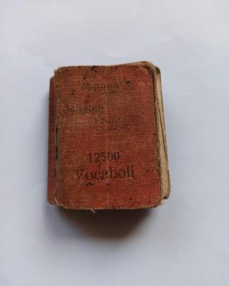 Mignon Dizionario italiano-francese