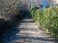 Immagine 6