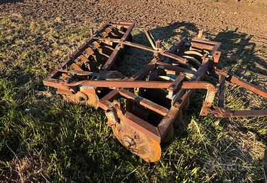 Francizolle Nardi 18 discho trainato