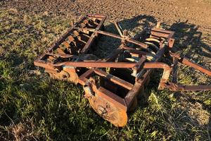Francizolle Nardi 18 discho trainato