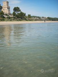 Casa con 2 camere per le vacanze al mare di Pineto