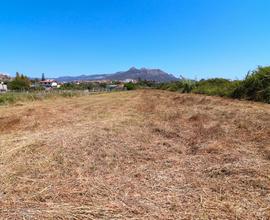Terreno agricolo a Lotzorai