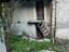 Immagine 4
