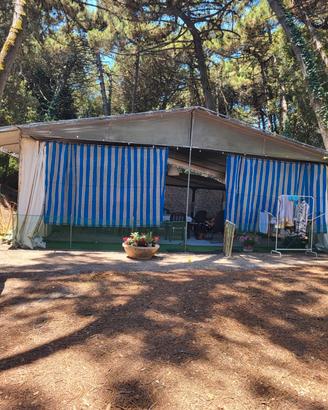 Roulotte Struttura e tenda.