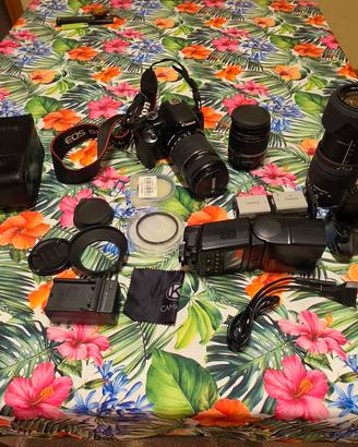 canon 450D