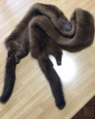 Collo in pelliccia di visone color miele