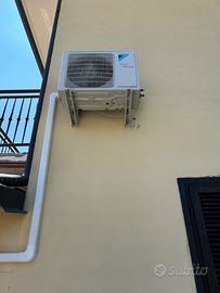 Daikin siesta